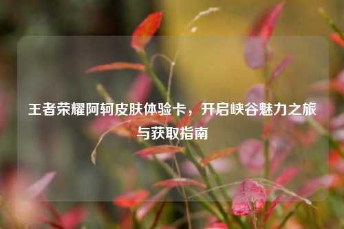 王者荣耀阿轲皮肤体验卡,开启峡谷魅力之旅与获取指南