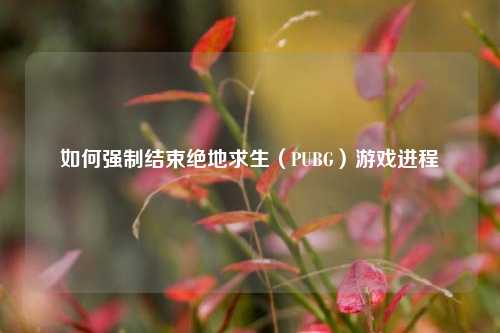 如何强制结束绝地求生（PUBG）游戏进程