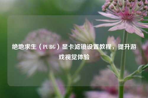 绝地求生(PUBG)显卡滤镜设置教程,提升游戏视觉体验