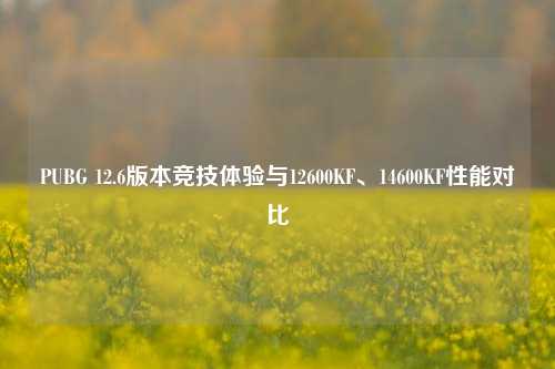 PUBG 12.6版本竞技体验与12600KF、14600KF性能对比