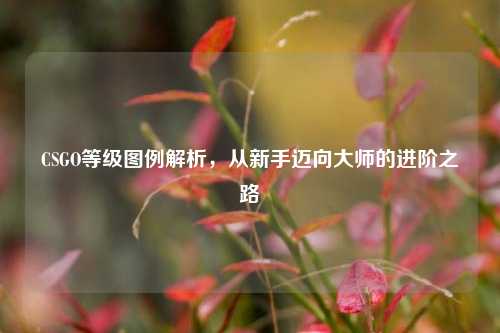 CSGO等级图例解析,从新手迈向大师的进阶之路
