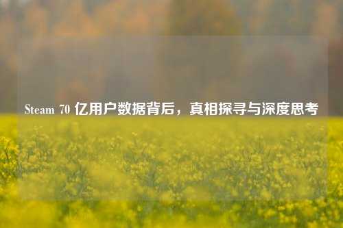 Steam 70 亿用户数据背后,真相探寻与深度思考