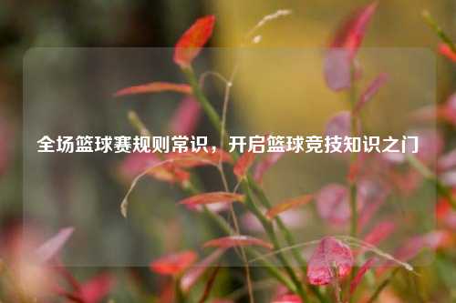 全场篮球赛规则常识，开启篮球竞技知识之门