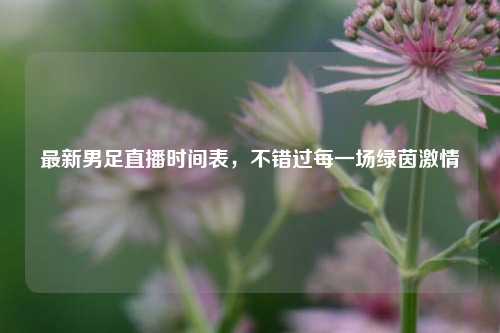 最新男足直播时间表,不错过每一场绿茵激情