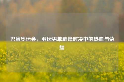 巴黎奥运会，羽坛男单巅峰对决中的热血与荣耀