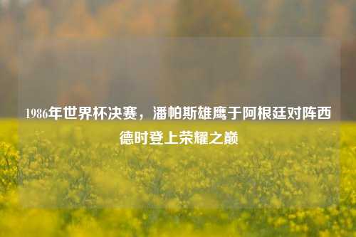 1986年世界杯决赛,潘帕斯雄鹰于阿根廷对阵西德时登上荣耀之巅