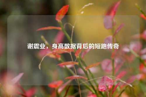 谢震业,身高数据背后的短跑传奇