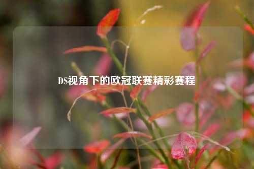 DS视角下的欧冠联赛精彩赛程