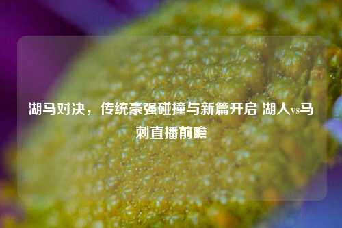 湖马对决,传统豪强碰撞与新篇开启 湖人vs马刺直播前瞻