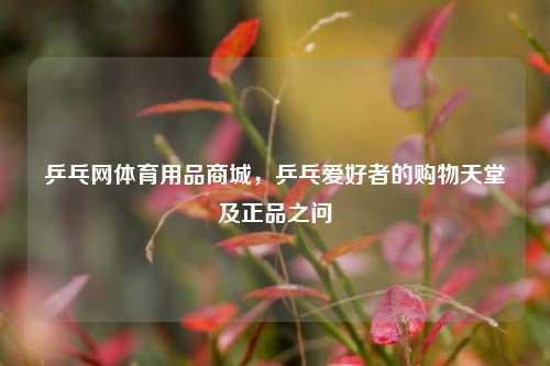 乒乓网体育用品商城,乒乓爱好者的购物天堂及正品之问