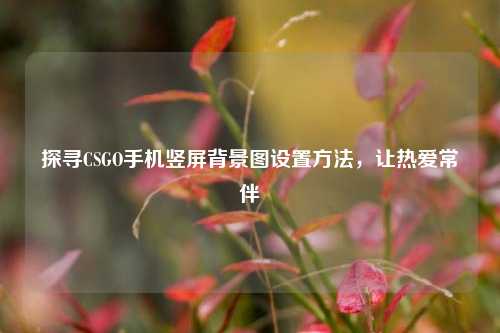 探寻CSGO手机竖屏背景图设置方法,让热爱常伴