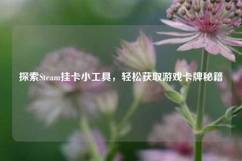 探索Steam挂卡小工具,轻松获取游戏卡牌秘籍