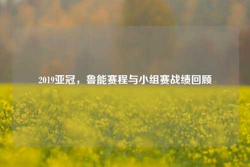 2019亚冠,鲁能赛程与小组赛战绩回顾