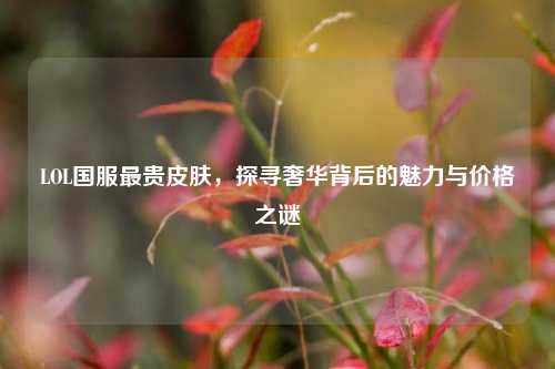 LOL国服最贵皮肤，探寻奢华背后的魅力与价格之谜