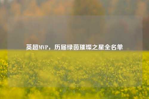 英超MVP,历届绿茵璀璨之星全名单
