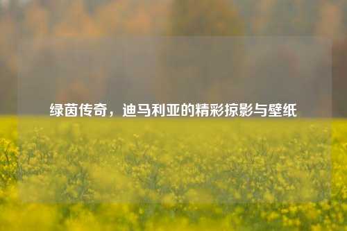 绿茵传奇,迪马利亚的精彩掠影与壁纸