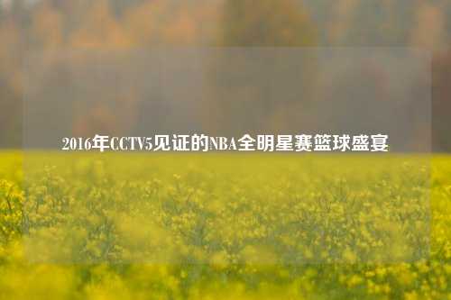 2016年CCTV5见证的NBA全明星赛篮球盛宴