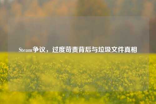 Steam争议,过度苛责背后与垃圾文件真相