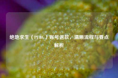 绝地求生(PUBG)账号退款,清晰流程与要点解析
