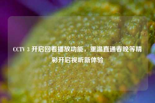 CCTV 3 开启回看播放功能,重温直通春晚等精彩开启视听新体验