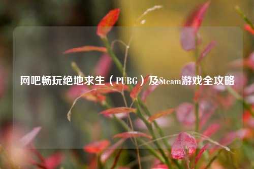 网吧畅玩绝地求生(PUBG)及Steam游戏全攻略