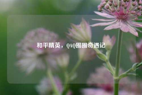 和平精英,QAQ圈圈奇遇记