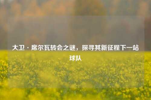大卫·席尔瓦转会之谜,探寻其新征程下一站球队