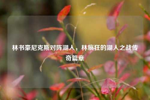林书豪尼克斯对阵湖人,林疯狂的湖人之战传奇篇章