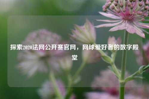 探索2020法网公开赛官网,网球爱好者的数字殿堂