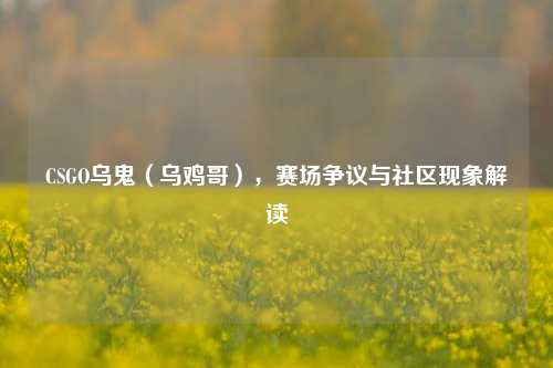 CSGO乌鬼(乌鸡哥),赛场争议与社区现象解读