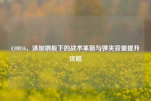 COD16，添加钢板下的战术革新与弹夹容量提升攻略