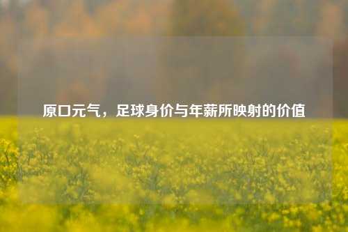 原口元气,足球身价与年薪所映射的价值