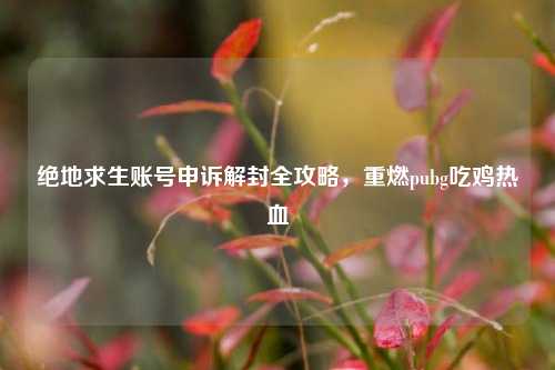 绝地求生账号申诉解封全攻略,重燃pubg吃鸡热血