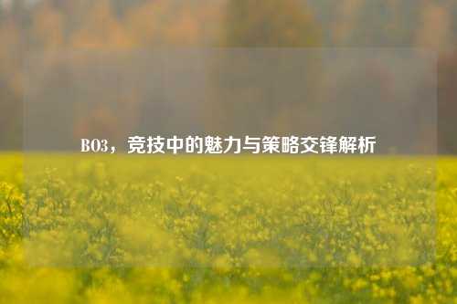 BO3，竞技中的魅力与策略交锋解析