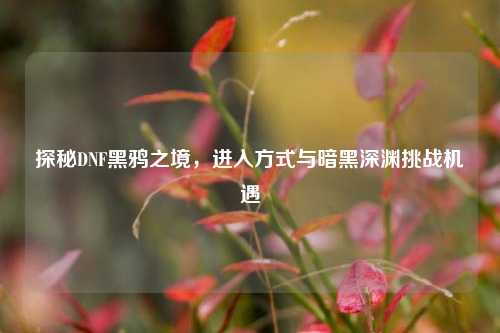 探秘DNF黑鸦之境,进入方式与暗黑深渊挑战机遇