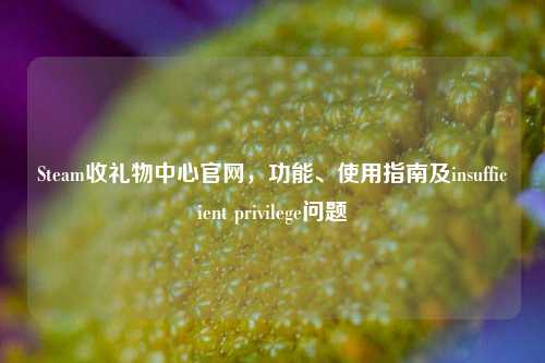 Steam收礼物中心官网,功能、使用指南及insufficient privilege问题