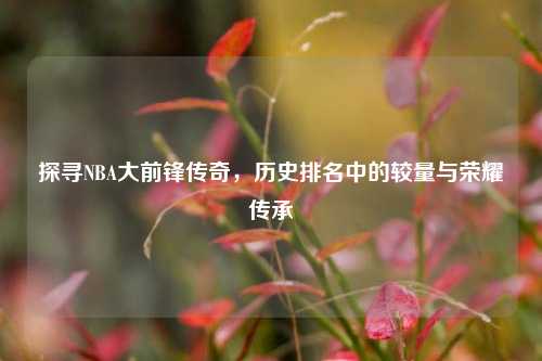 探寻NBA大前锋传奇，历史排名中的较量与荣耀传承