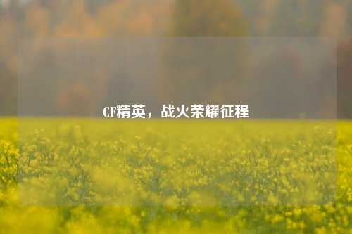 CF精英,战火荣耀征程