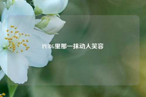 PUBG里那一抹动人笑容