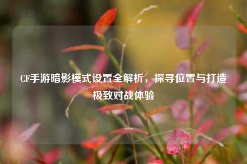 CF手游暗影模式设置全解析，探寻位置与打造极致对战体验