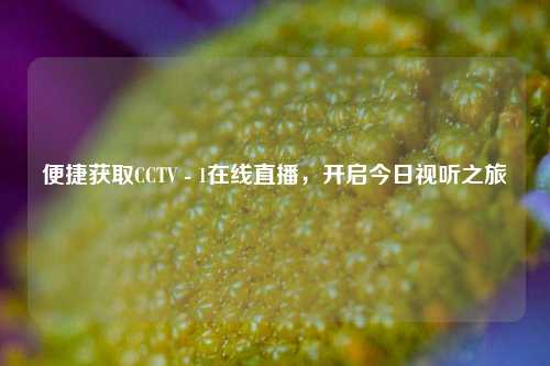 便捷获取CCTV - 1在线直播，开启今日视听之旅