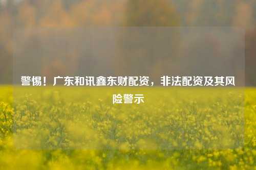警惕!广东和讯鑫东财配资,非法配资及其风险警示