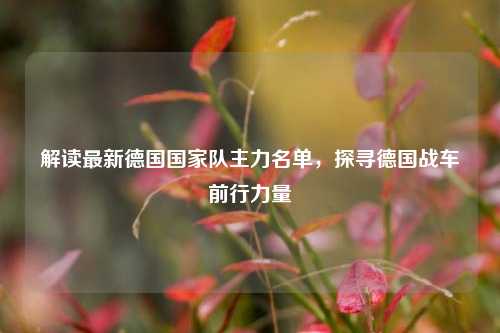 解读最新德国国家队主力名单，探寻德国战车前行力量