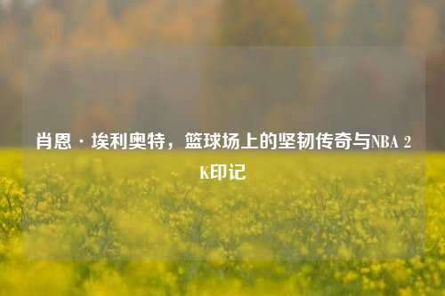 肖恩·埃利奥特，篮球场上的坚韧传奇与NBA 2K印记