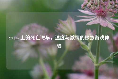 Steam 上的死亡飞车,速度与激情的极致游戏体验
