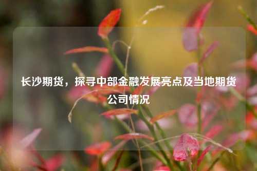 长沙期货,探寻中部金融发展亮点及当地期货公司情况