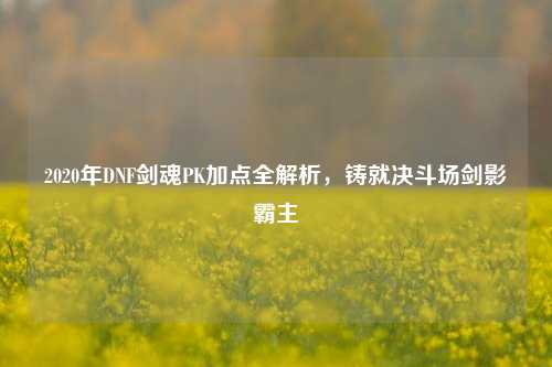 2020年DNF剑魂PK加点全解析,铸就决斗场剑影霸主