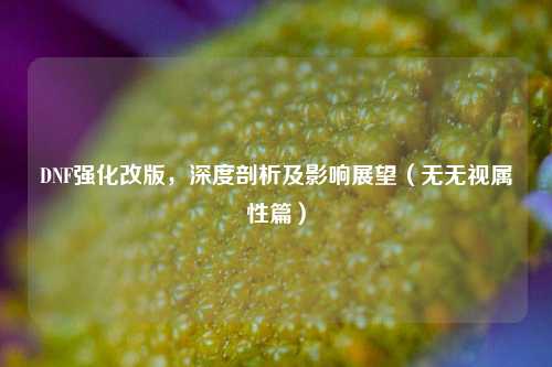 DNF强化改版,深度剖析及影响展望(无无视属性篇)