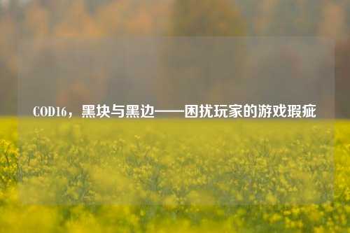 COD16，黑块与黑边——困扰玩家的游戏瑕疵