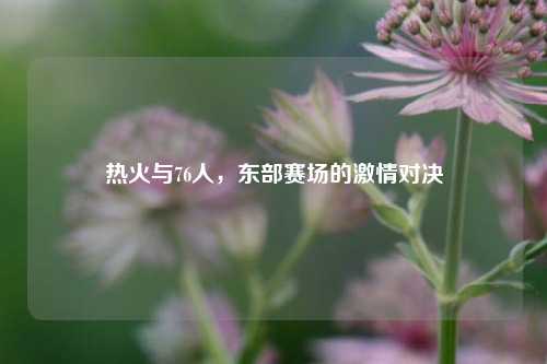 热火与76人,东部赛场的激情对决
